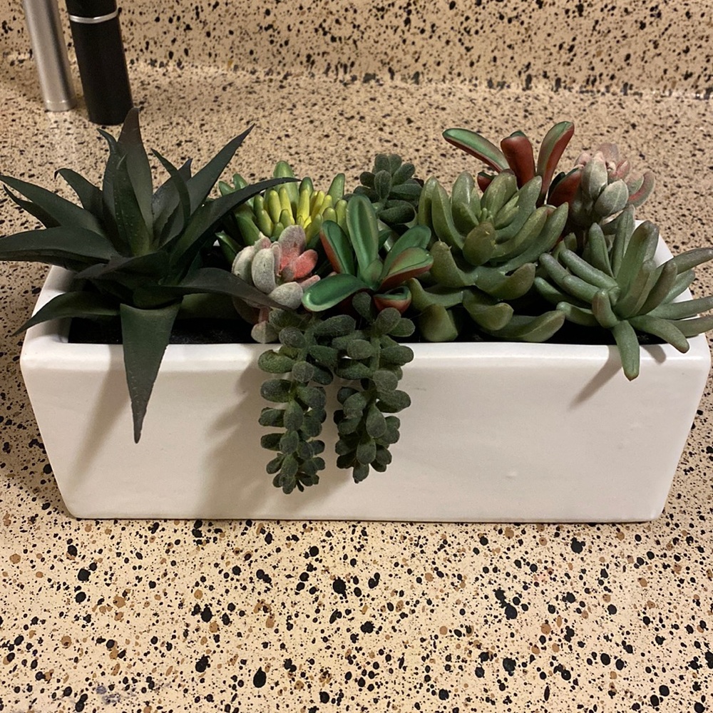 Fake planter with succulents